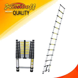 TL-38 Extension Ladder